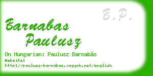 barnabas paulusz business card